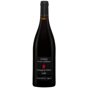 Gilles Bonnefoy Madone Gamay's Mi Noir Mi Bouze