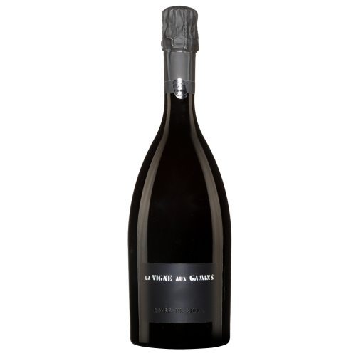 Thienot La Vigne aux Gamins White Champagne