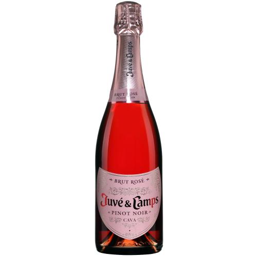 Juvé y Camps Brut Cava