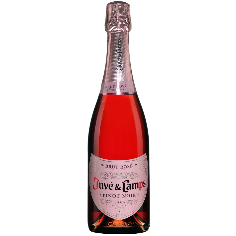 Juvé y Camps Brut Cava