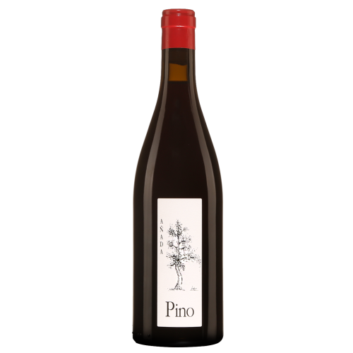 Bodegas Ponce Bobal Red Wine