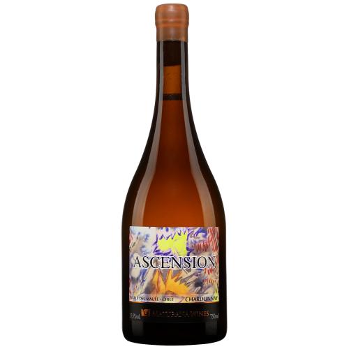 Maturana Wines Ascension Valle del Maule