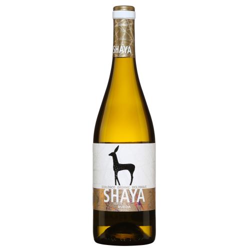 Shaya Verdejo