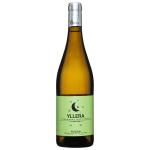 Yllera Verdejo Vendimia Nocturna