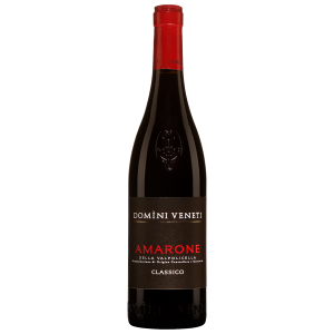 Domini Veneti Amarone Classico