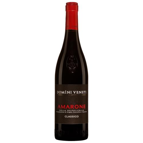 Domini Veneti Amarone Classico