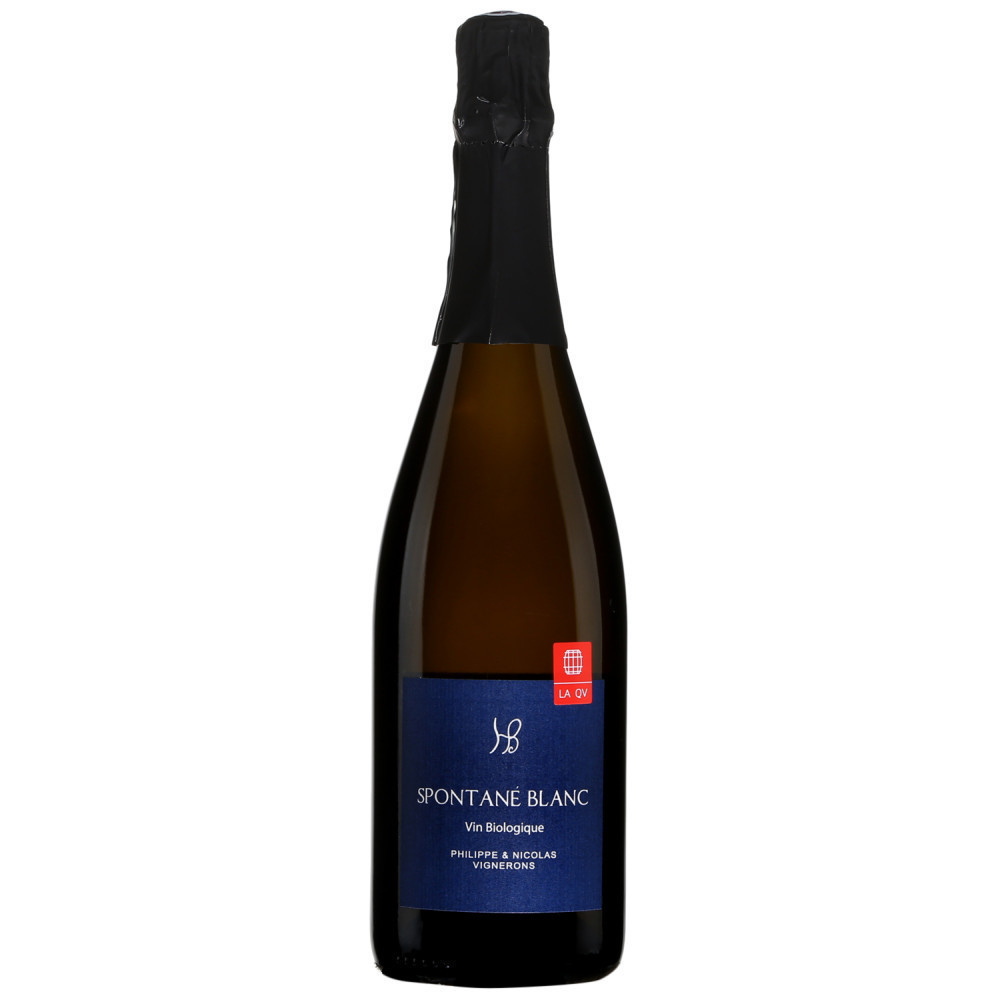 Domaine des Hauts Baigneux Spontané White Wine