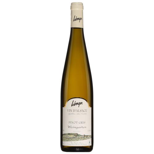 Loberger Pinot gris Weingarten