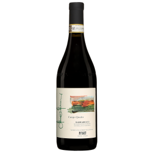 Punset Campo Quadro Barbaresco