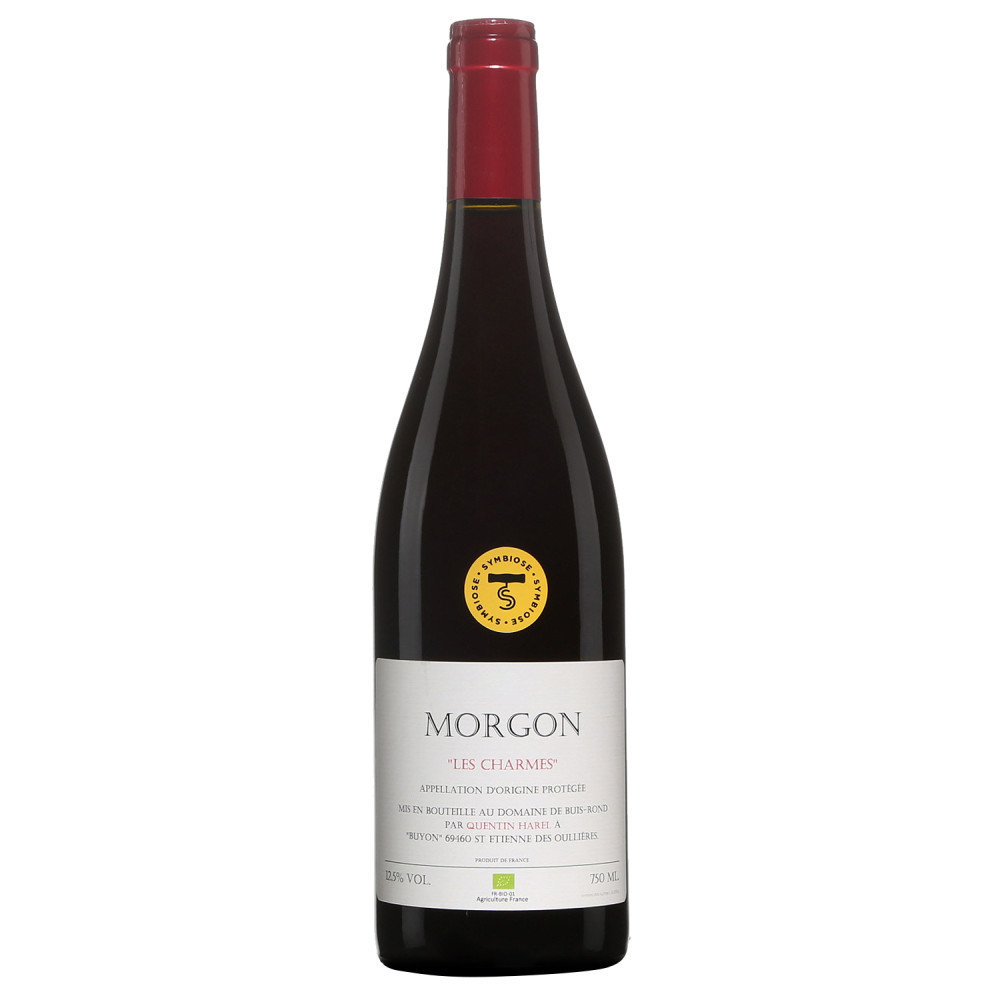 Quentin Harel Domaine de Buis-Rond Morgon Les Charmes