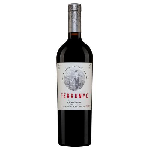 Terrunyo Carmenère Valle del Cachapoal