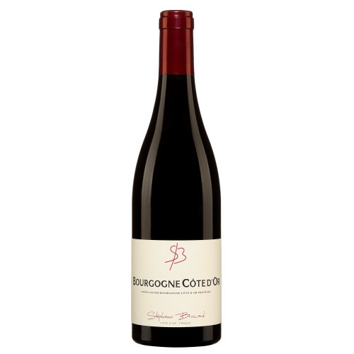 Stéphane Brocard Bourgogne Côte dOr Red Wine