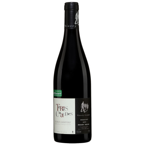 Domaine Thierry Germain Cabernet Franc Red Wine