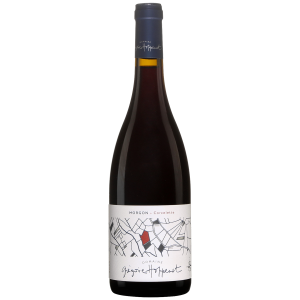 Domaine Grégoire Hoppenot Morgon Corcelette