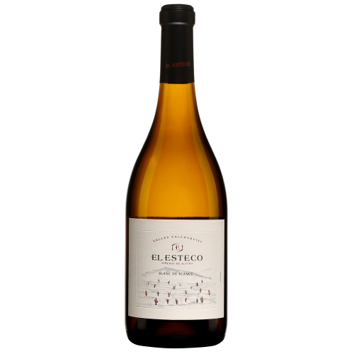 El Esteco Blanc de Blancs White Wine