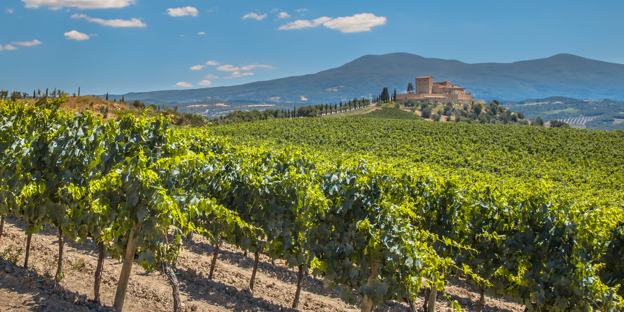 The Regal Wineries of Spain's Renowned Rioja Region