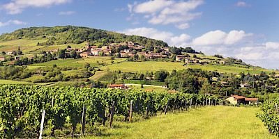 Beaujolais region