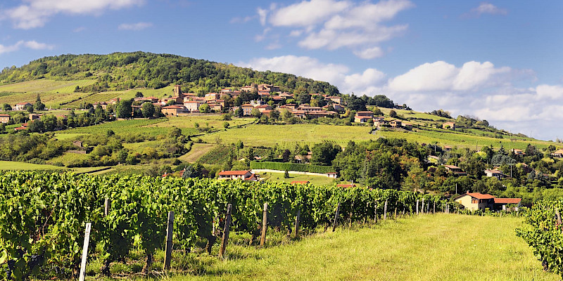 Beaujolais