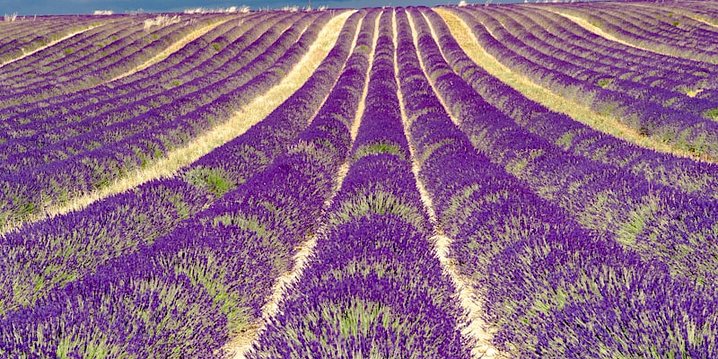 Provence