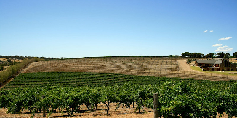 Barossa Valley