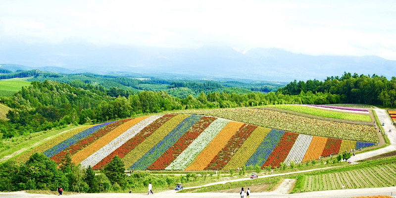 Hokkaido