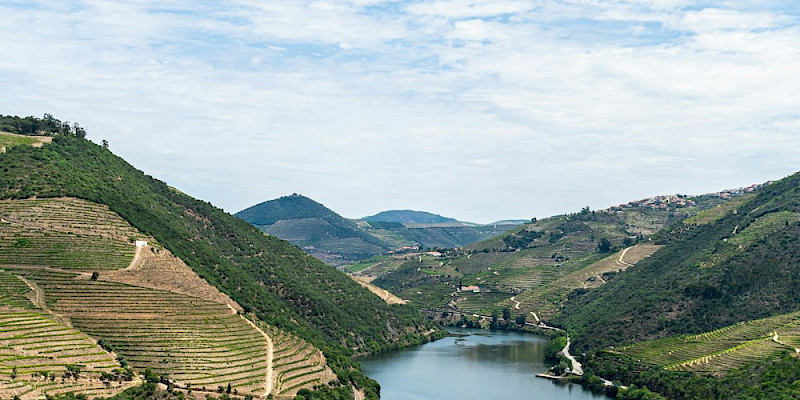 Douro Valley