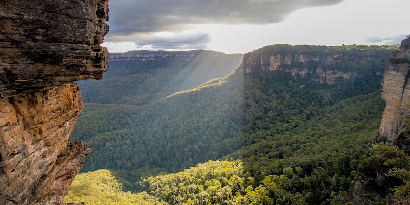 New South Wales