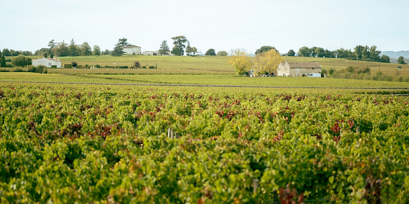 Aquitaine-Charentes