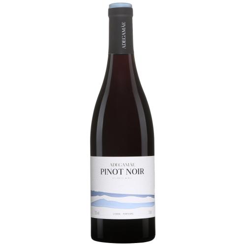 AdegaMãe Pinot Noir Lisboa