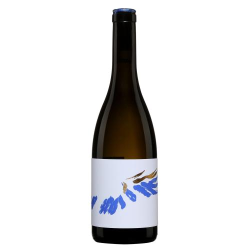 Athénaïs de Béru Sauvignon Gris